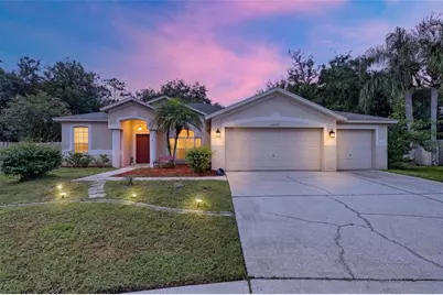22240 Willow Lakes Drive, Lutz, FL 33549 - Photo 1