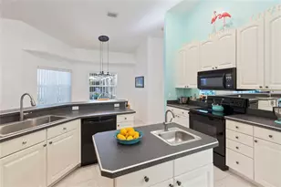 2972 Glenpark Rd, Palm Harbor, FL 34683 - Photo 11