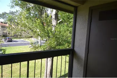 226 Woodlake Wynde, Oldsmar, FL 34677 - Photo 29