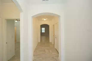 7076 Gulf Cypress Ave, Land O Lakes, FL 34637 - Photo 13