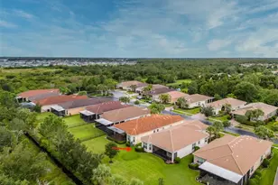 16126 Cedar Key Dr, Wimauma, FL 33598 - Photo 55