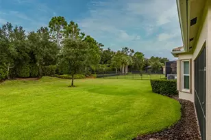 16126 Cedar Key Dr, Wimauma, FL 33598 - Photo 51