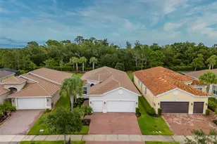 16126 Cedar Key Dr, Wimauma, FL 33598 - Photo 59