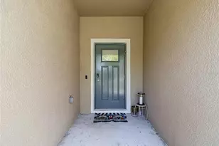 6279 Shiner St, Land O Lakes, FL 34638 - Photo 57
