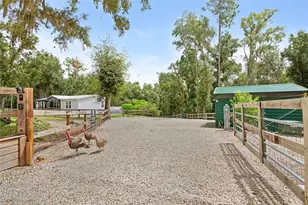 1164 Katie Wood Trail, Brooksville, FL 34602 - Photo 5