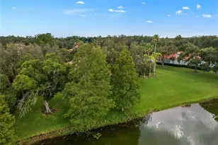 18112 Longwater Run Dr, Tampa, FL 33647 - Photo 71