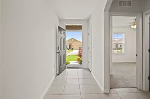 30480 Summer Sun Loop, Wesley Chapel, FL 33545 - Photo 9