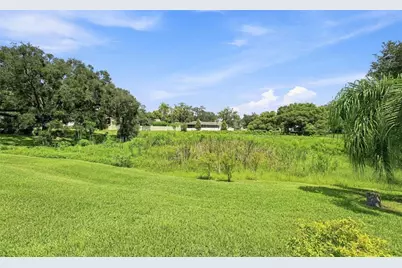 10113 Lindelaan Drive, Tampa, FL 33618 - Photo 61