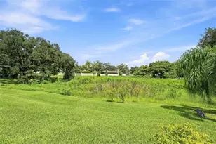 10113 Lindelaan Dr, Tampa, FL 33618 - Photo 61