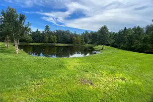 10060 Banyan Breeze Blvd, Land O Lakes, FL 34638 - Photo 29