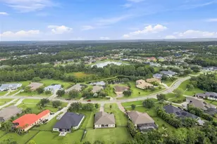 15435 Mulholland Rd, Parrish, FL 34219 - Photo 63