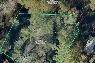 35436 Reynolds St, Dade City, FL 33523 - Photo 1