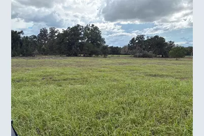 Pump Station Rd, Land O Lakes, FL 34639 - Photo 7