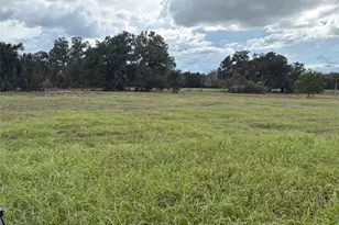 Pump Station Rd, Land O Lakes, FL 34639 - Photo 1