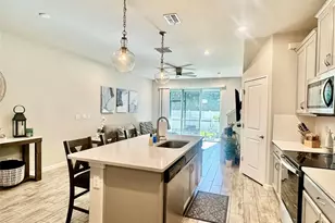 8511 Primrose Willow Pl, Odessa, FL 33556 - Photo 7