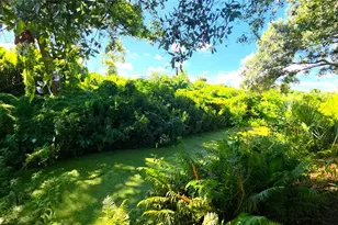 2529 Indigo Dr, Dunedin, FL 34698 - Photo 71