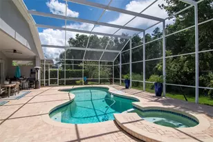 10017 Kingshyre Way, Tampa, FL 33647 - Photo 37