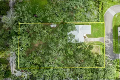 4715 Needle Palm Drive, New Port Richey, FL 34652 - Photo 9