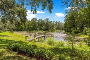 7434 E Cabin Ln, Inverness, FL 34453 - Photo 47