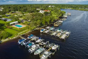 8809 Eagle Watch Dr, Riverview, FL 33578 - Photo 3