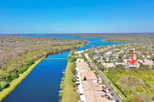 1764 Arabian Ln, Palm Harbor, FL 34685 - Photo 15