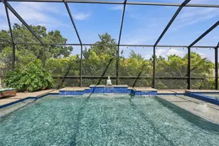 16909 Clear Cork Dr, Wimauma, FL 33598 - Photo 49