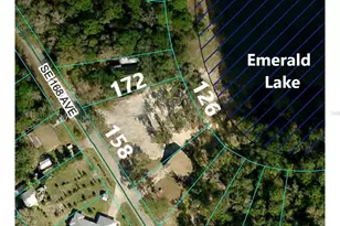 5387 SE 168th Ave, Ocklawaha, FL 32179 - Photo 1