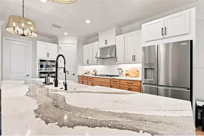 33933 Anchor Light Lane, Wesley Chapel, FL 33543 - Photo 37