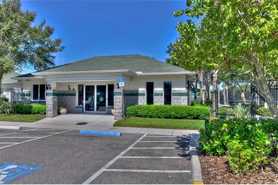29619 Allegro Drive, Wesley Chapel, FL 33543 - Photo 39
