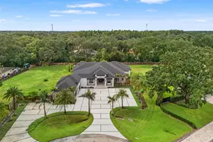 17602 Grande Estates Pl, Lutz, FL 33549 - Photo 79