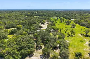 341 Suncoast Blvd, Spring Hill, FL 34608 - Photo 51