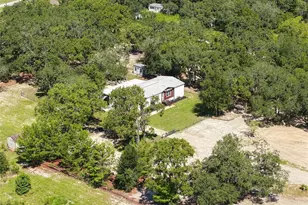 341 Suncoast Blvd, Spring Hill, FL 34608 - Photo 49