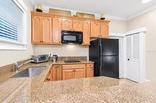 509 S Willow Ave, Tampa, FL 33606 - Photo 47