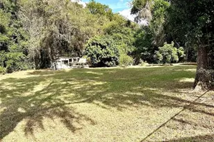 12221 Anne Kenia Dr, Thonotosassa, FL 33592 - Photo 59