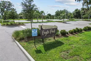 8699 Ivy Stark Blvd, Wesley Chapel, FL 33545 - Photo 89