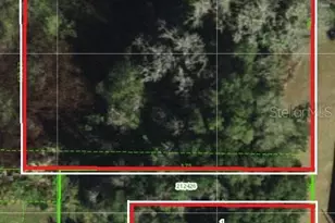 Johns Rd, Dade City, FL 33523 - Photo 1