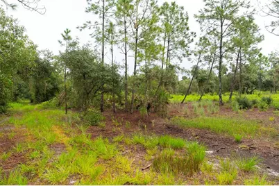14020 Cypress Lane, Wimauma, FL 33598 - Photo 13