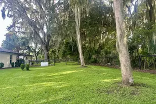 6800 NW Hwy 320, Micanopy, FL 32667 - Photo 57