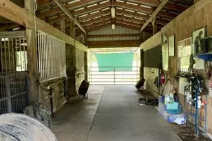 6800 NW Hwy 320, Micanopy, FL 32667 - Photo 65