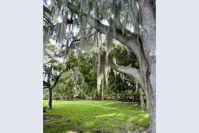 6800 NW Highway 320, Micanopy, FL 32667 - Photo 35