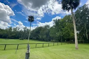 6800 NW Hwy 320, Micanopy, FL 32667 - Photo 49