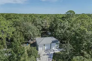 24201 Oaks Blvd, Land O Lakes, FL 34639 - Photo 61