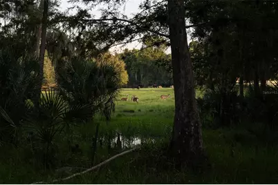 24201 Oaks Boulevard, Land O Lakes, FL 34639 - Photo 65