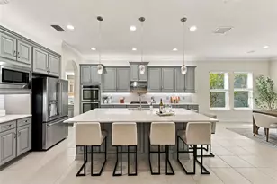 29404 Picana Ln, Wesley Chapel, FL 33543 - Photo 19