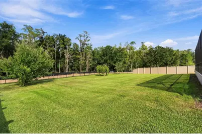 29404 Picana Lane, Wesley Chapel, FL 33543 - Photo 63