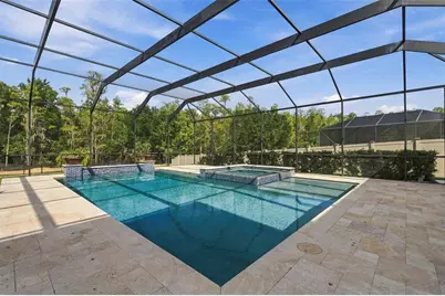 29404 Picana Lane, Wesley Chapel, FL 33543 - Photo 61