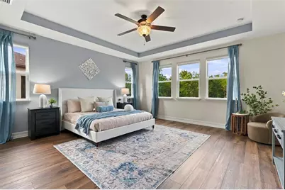 29404 Picana Lane, Wesley Chapel, FL 33543 - Photo 49