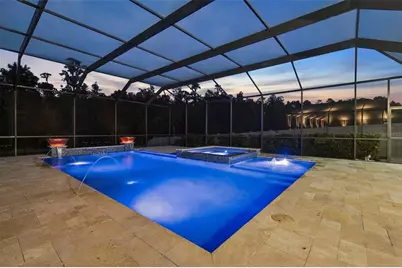 29404 Picana Lane, Wesley Chapel, FL 33543 - Photo 69