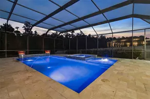 29404 Picana Ln, Wesley Chapel, FL 33543 - Photo 69