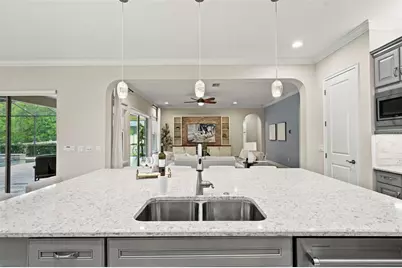 29404 Picana Lane, Wesley Chapel, FL 33543 - Photo 15